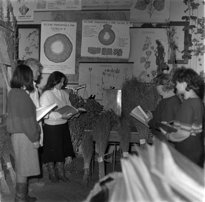 minerva_1987_c2_c10r4_004