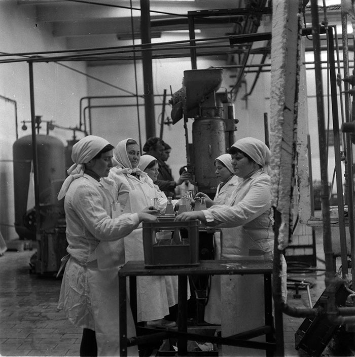 minerva_1987_c2_c10r5_002