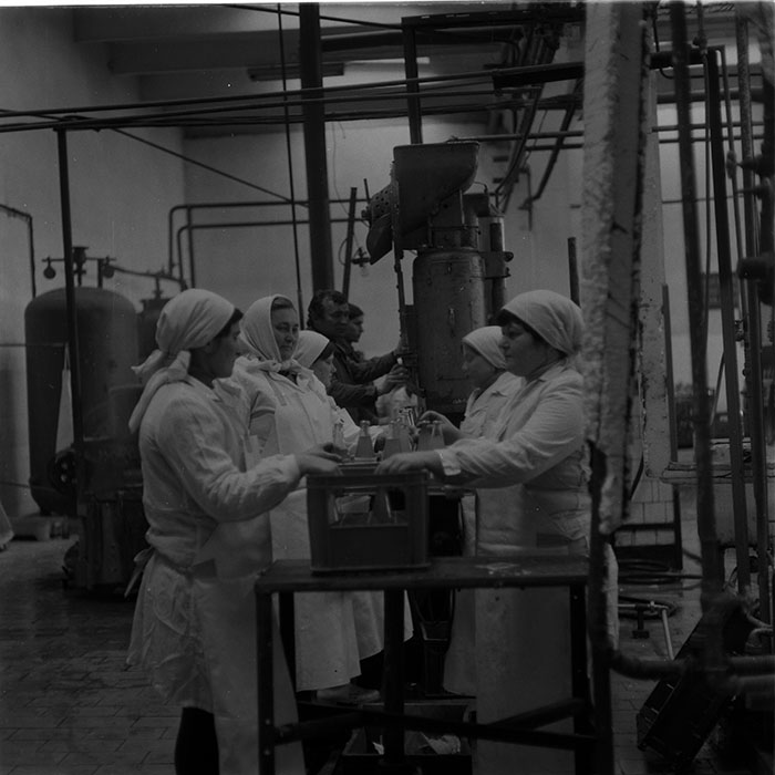 minerva_1987_c2_c10r5_003