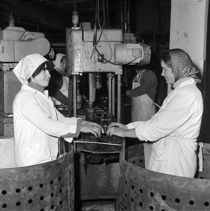 minerva_1987_c2_c10r5_010