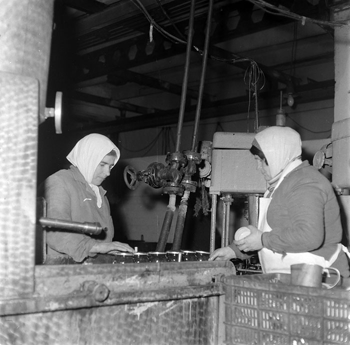 minerva_1987_c2_c10r5_011