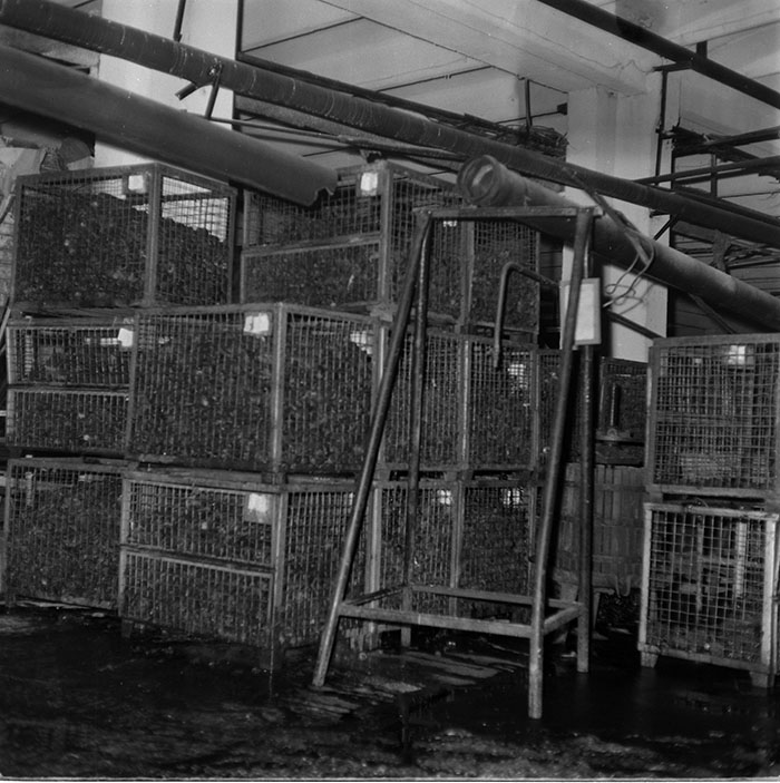 minerva_1987_c2_c10r5_012