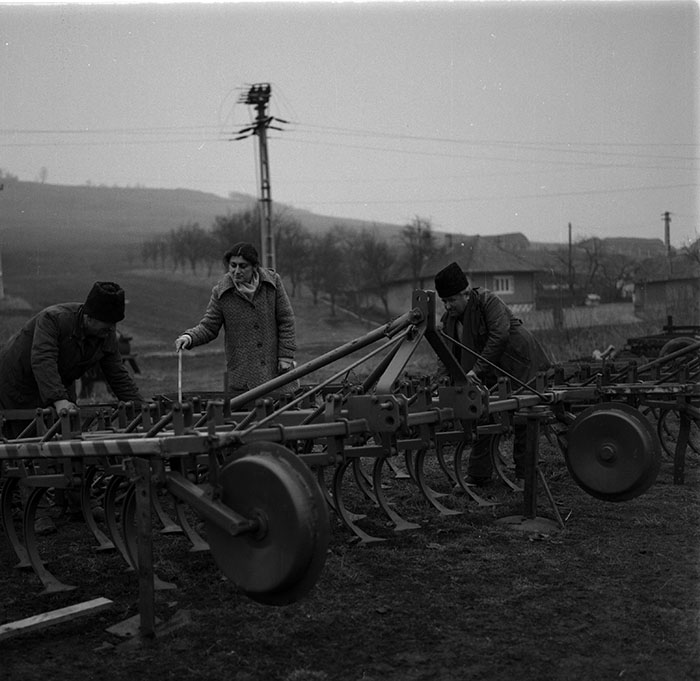 minerva_1987_c2_c4r3_005