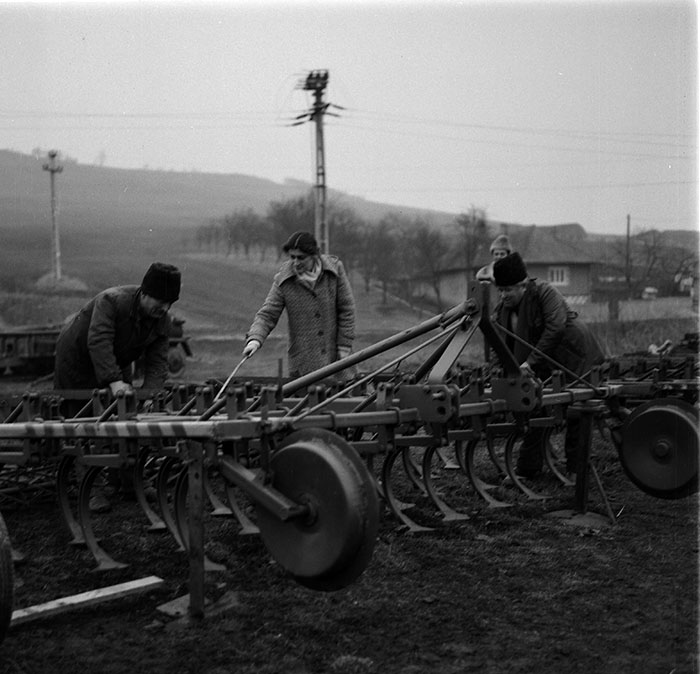 minerva_1987_c2_c4r3_006