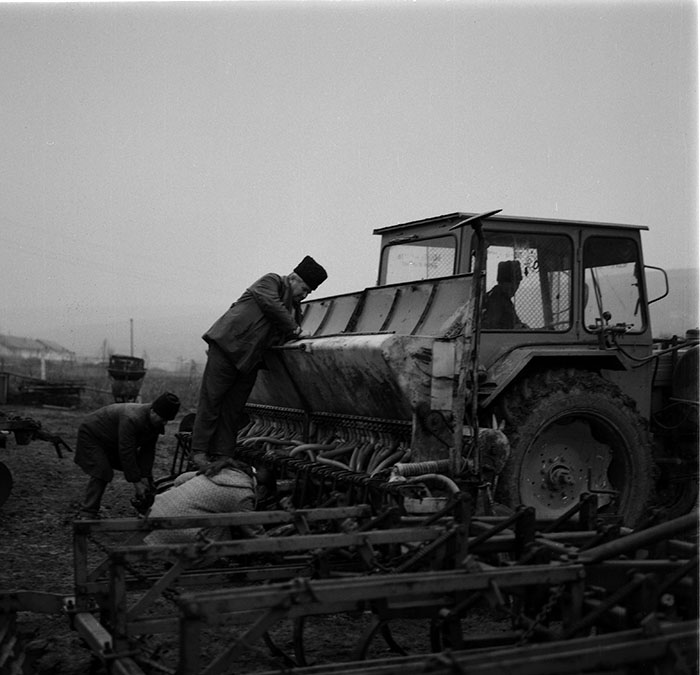 minerva_1987_c2_c4r3_008