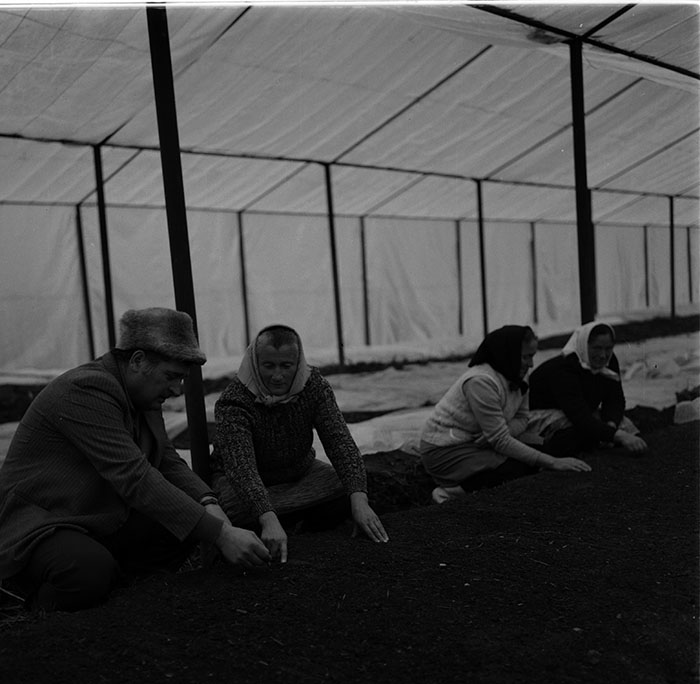 minerva_1987_c2_c4r3_010