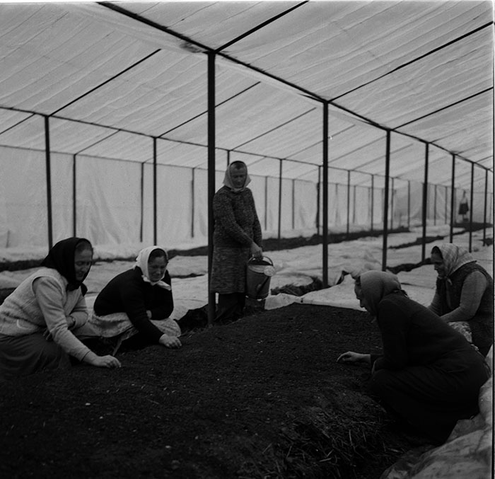 minerva_1987_c2_c4r3_012