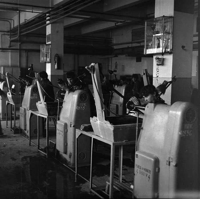 minerva_1987_c2_c5r4_009