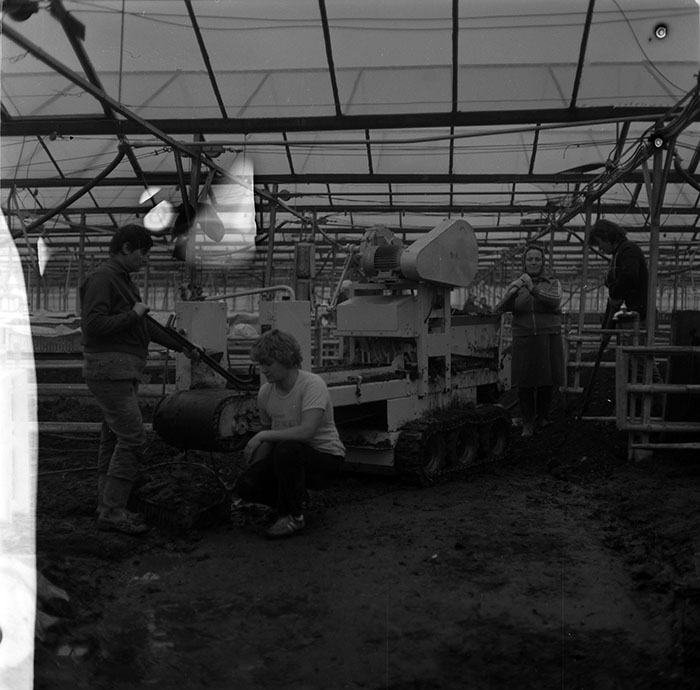 minerva_1987_c2_c6r1_001