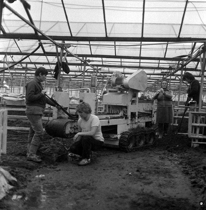 minerva_1987_c2_c6r1_002