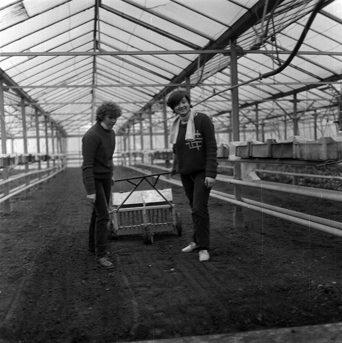 minerva_1987_c2_c6r1_006