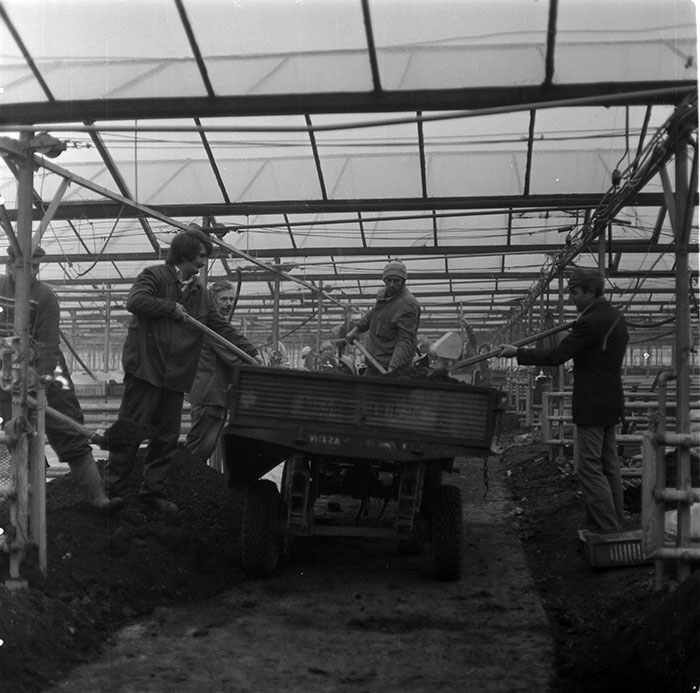 minerva_1987_c2_c6r1_011