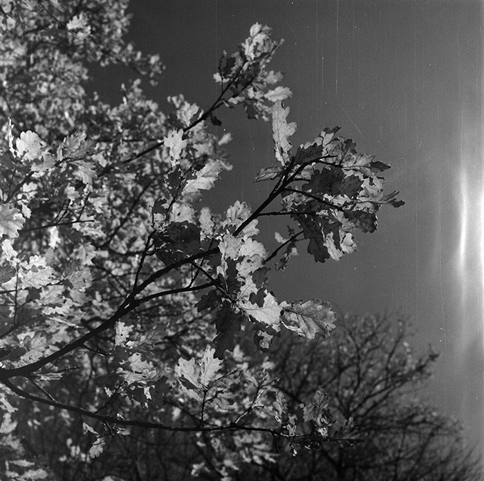 minerva_1987_c2_c6r1_020