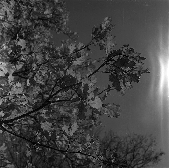 minerva_1987_c2_c6r1_021