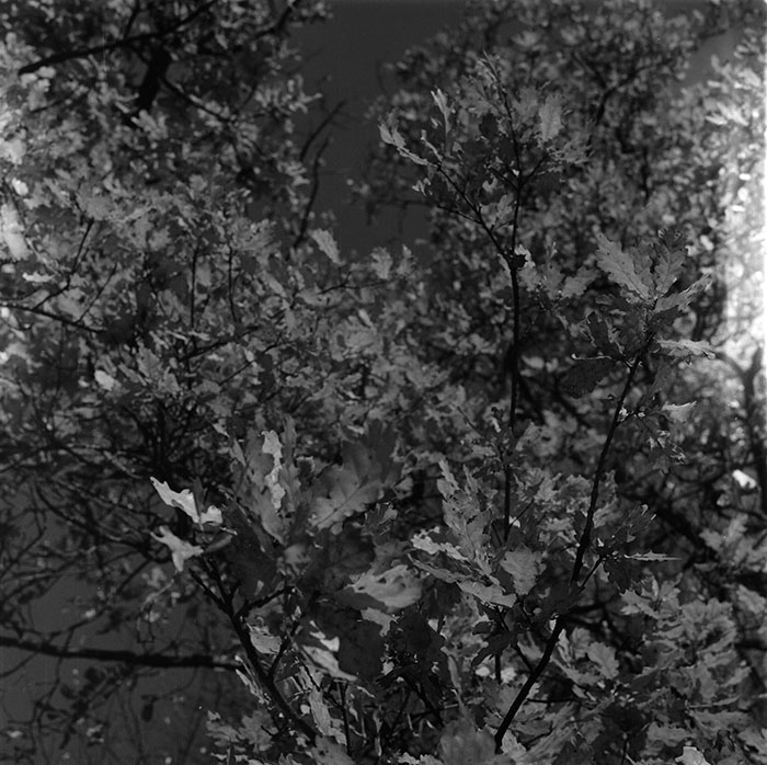 minerva_1987_c2_c6r1_022