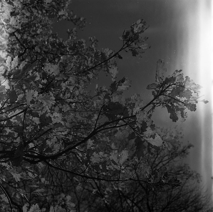 minerva_1987_c2_c6r1_023