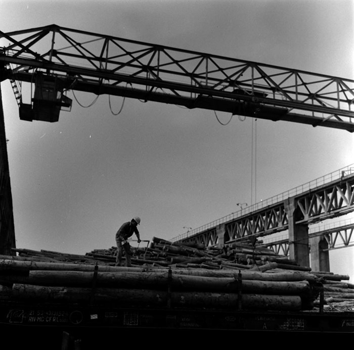 minerva_1987_c2_c6r3_005