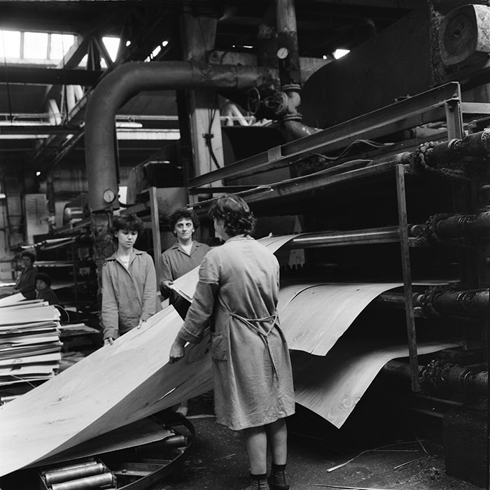 minerva_1987_c2_c6r3_010