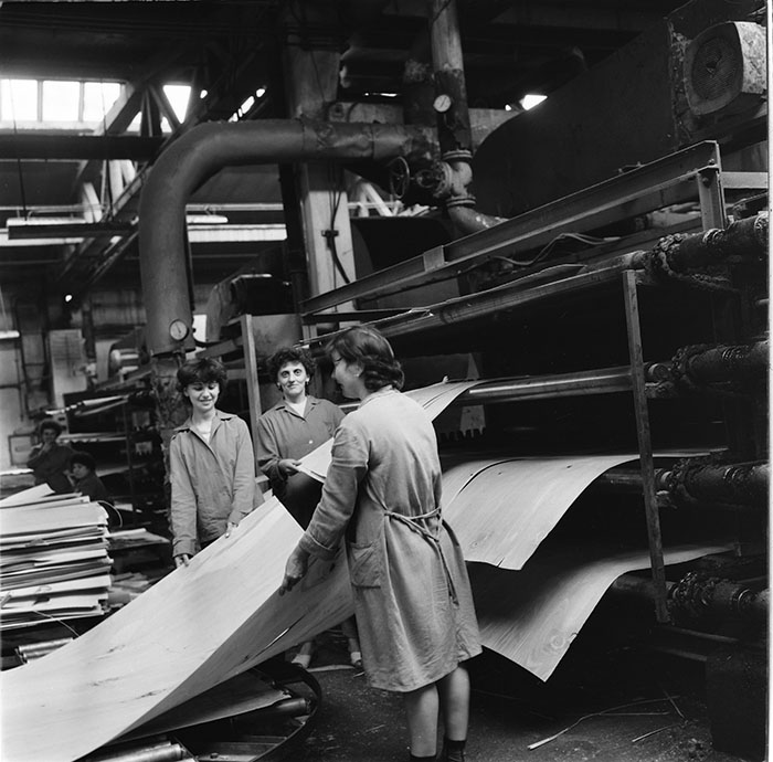 minerva_1987_c2_c6r3_012