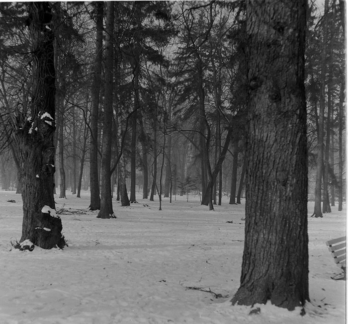 minerva_1987_c2_c7r3_016