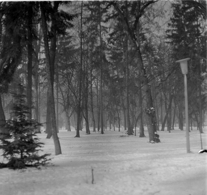 minerva_1987_c2_c7r3_017