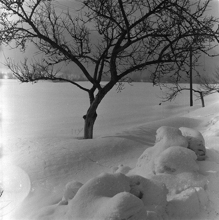 minerva_1987_c2_c7r4_004