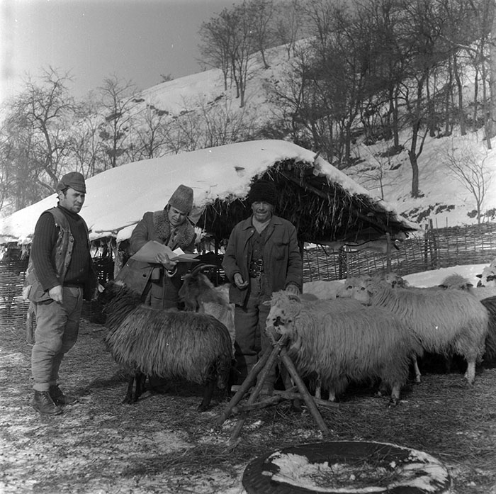 minerva_1987_c2_c7r4_005