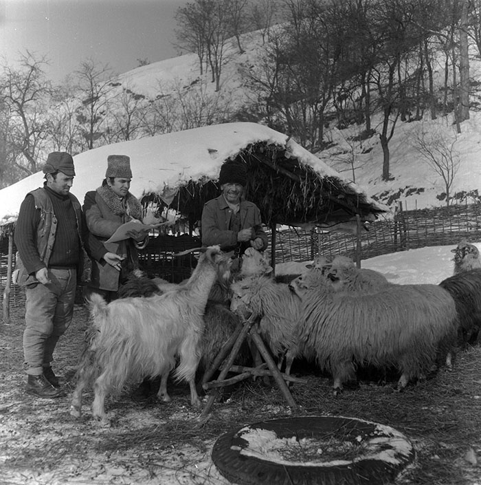 minerva_1987_c2_c7r4_006