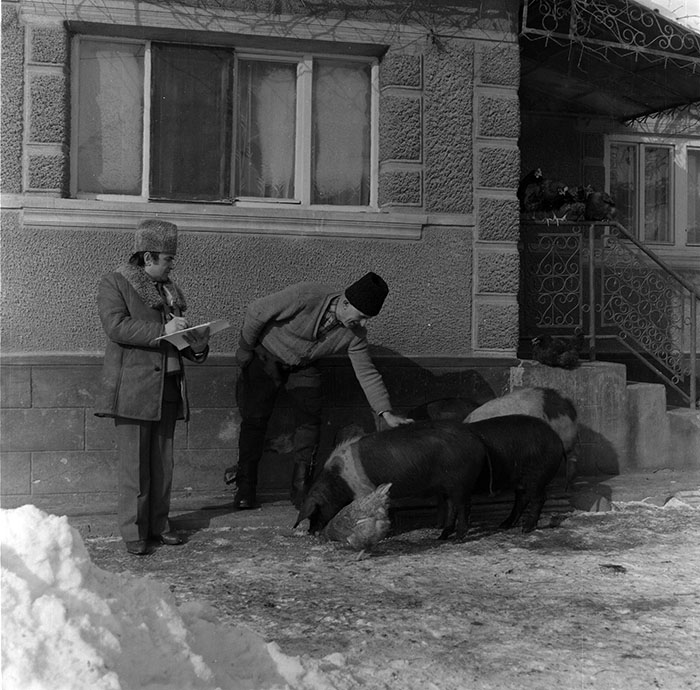 minerva_1987_c2_c7r4_009