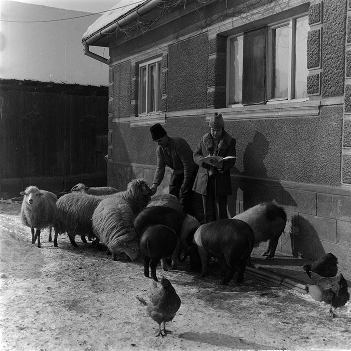 minerva_1987_c2_c7r4_010