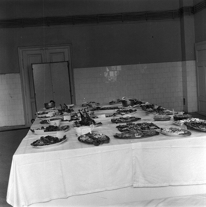 minerva_1987_c2_c7r4_015