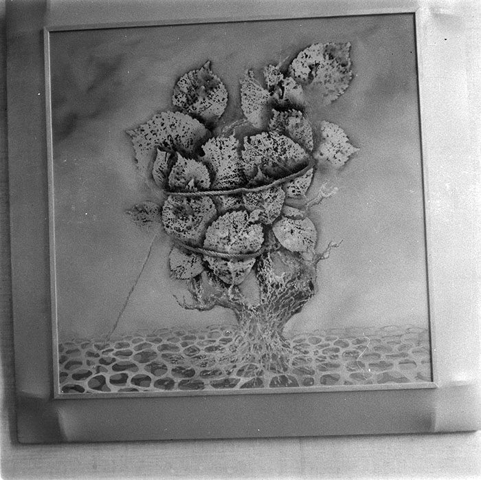 minerva_1987_c2_c8r1_003