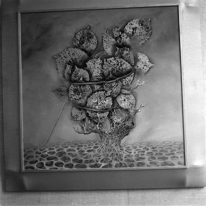 minerva_1987_c2_c8r1_004