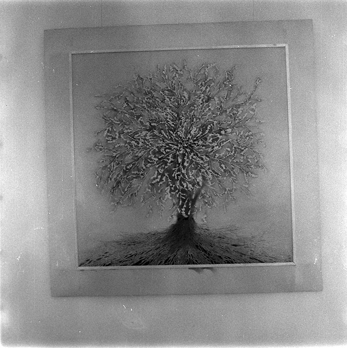 minerva_1987_c2_c8r1_006