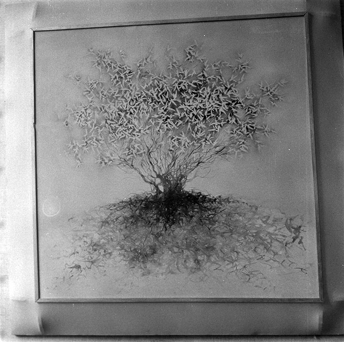 minerva_1987_c2_c8r1_009