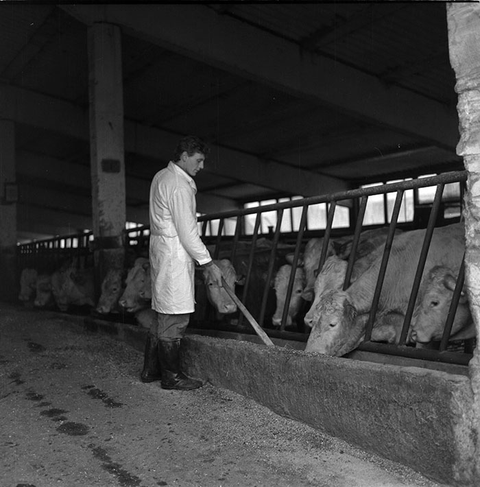 minerva_1987_c2_c9r2_016