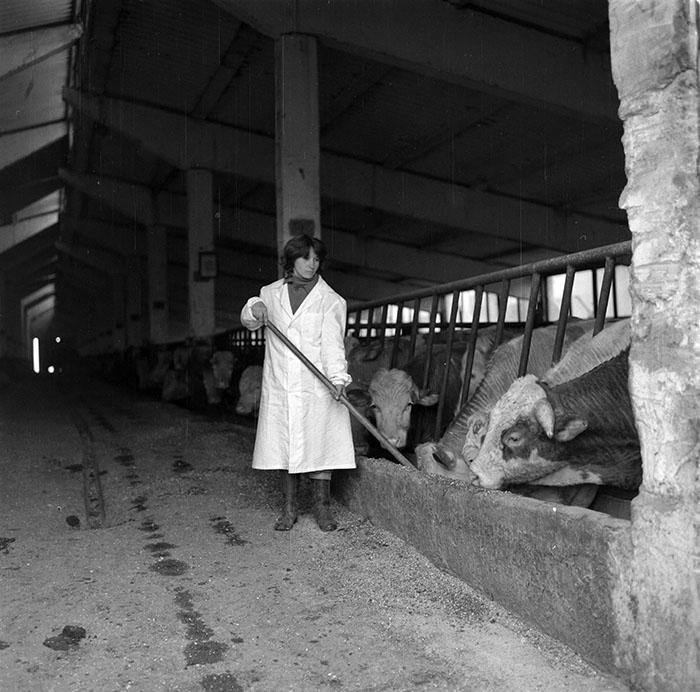 minerva_1987_c2_c9r2_017