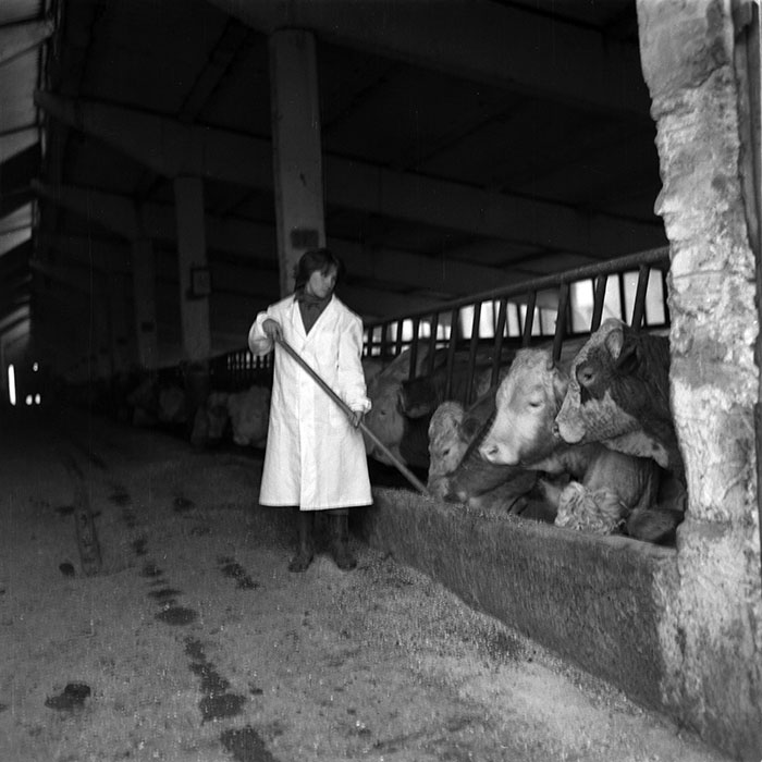 minerva_1987_c2_c9r2_018