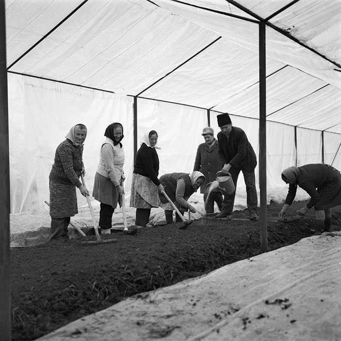 minerva_1987_c2_c9r2_022