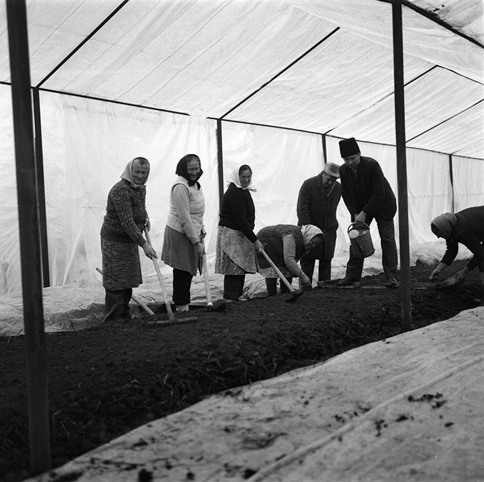 minerva_1987_c2_c9r2_023