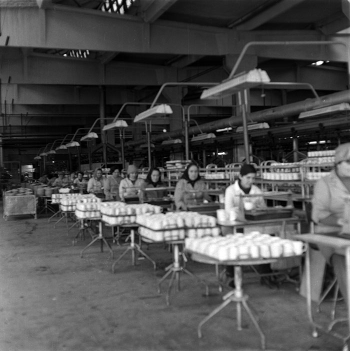 minerva_1987_c2_c9r3_003