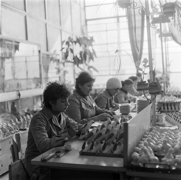 minerva_1987_c2_c9r3_005