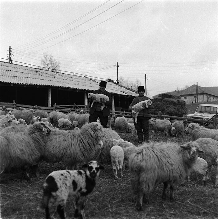 minerva_1987_c2_c9r4_002