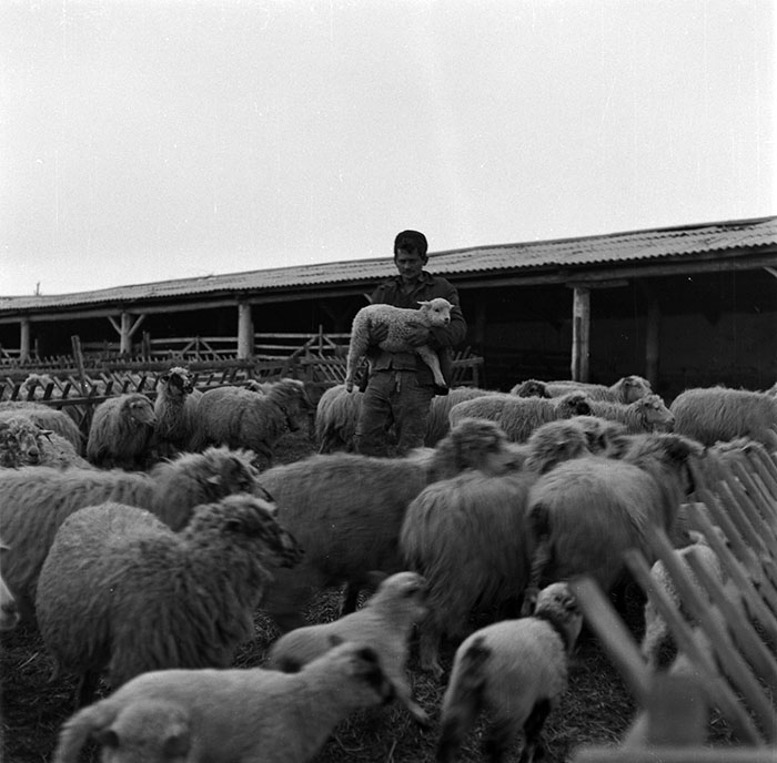 minerva_1987_c2_c9r4_004