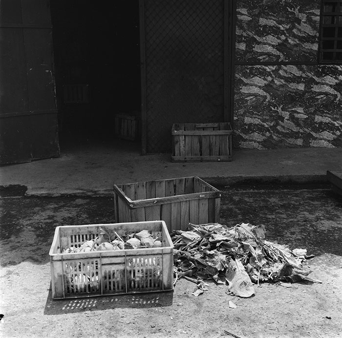 minerva_1987_c2_c9r5_001