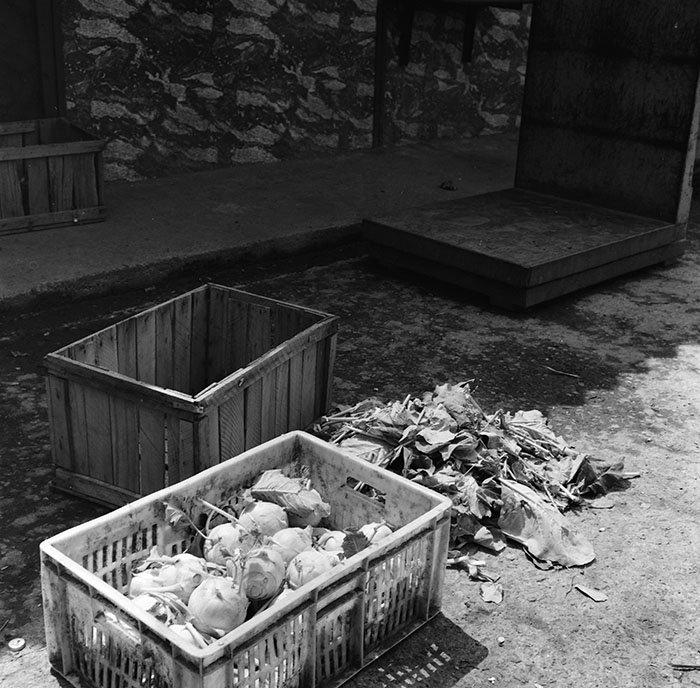 minerva_1987_c2_c9r5_002