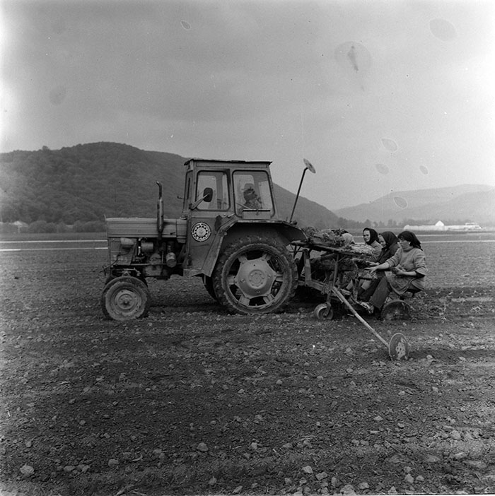 minerva_1987_c2_c9r5_004