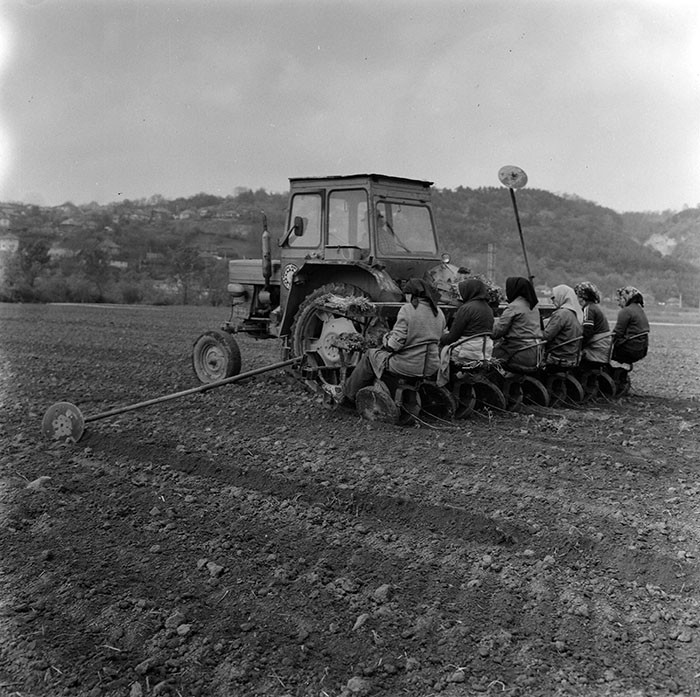 minerva_1987_c2_c9r5_005