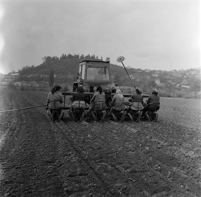 minerva_1987_c2_c9r5_006