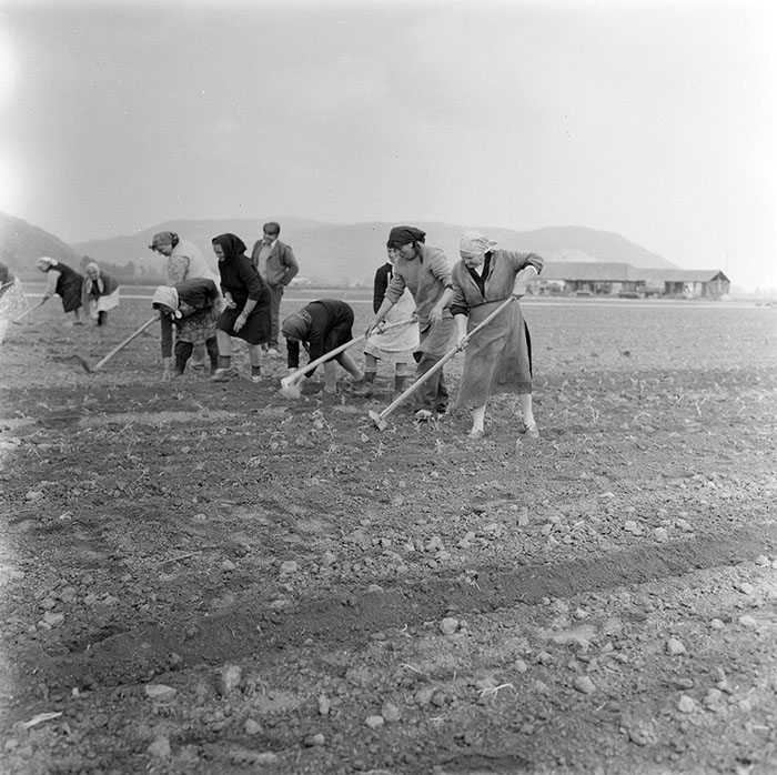 minerva_1987_c2_c9r5_007